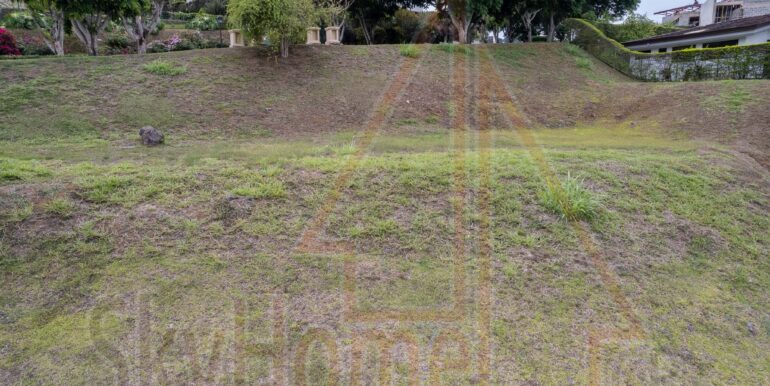 DJI_0842