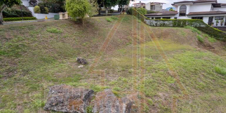 DJI_0851